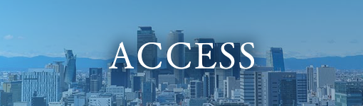 ACCESS